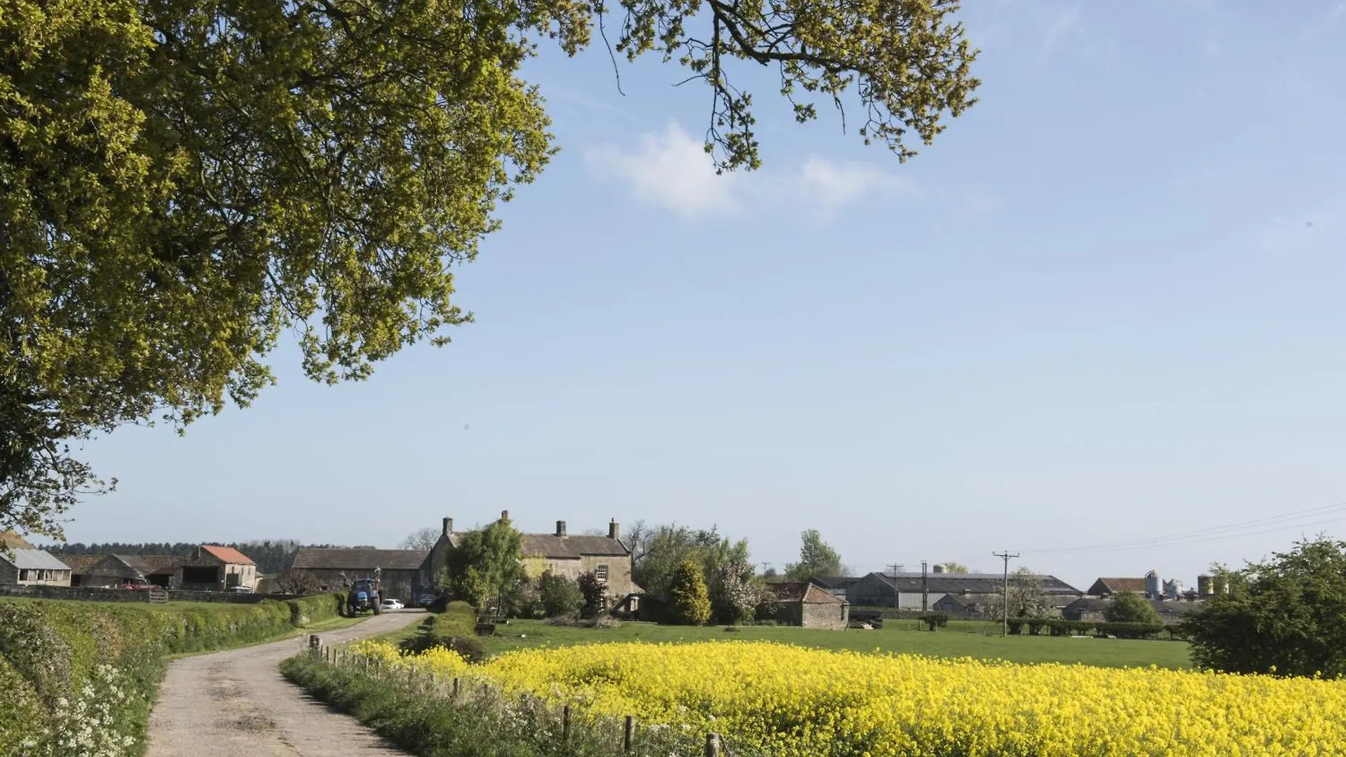 Mallard Grange B&B Ripon United Kingdom